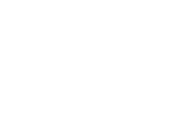 Your Grocer Logo